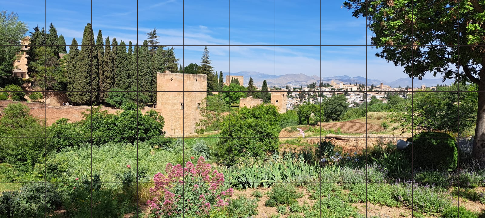 create grid on landscape for drawing